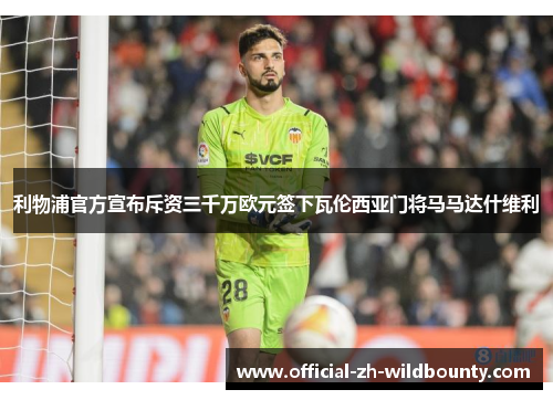 利物浦官方宣布斥资三千万欧元签下瓦伦西亚门将马马达什维利
