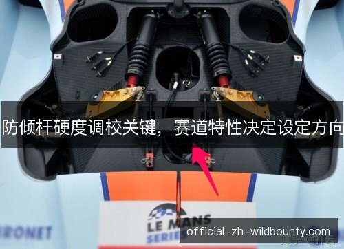 防倾杆硬度调校关键，赛道特性决定设定方向